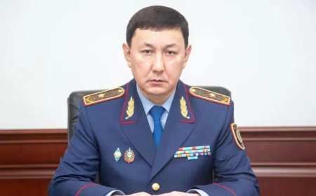 Шерзаттың өлімінен кейін қызметінен босатылған вице-министр басшылық қызметке келді