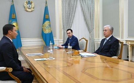 Токаев принял Геннадия Головкина