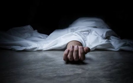 Алматыда жекеменшік мектептің жанынан мәйіт табылды