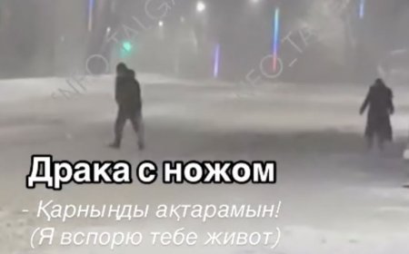 Талғар қаласынан тағы тыныштық кетті (ВИДЕО)