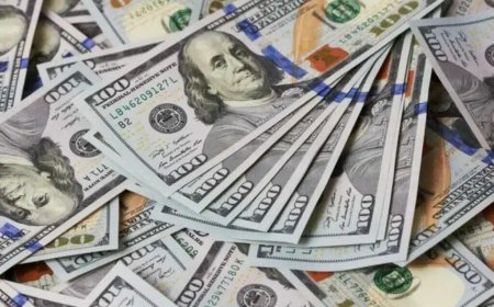 Можно ли перевести пенсионные накопления в доллары для сохранности? Ответ в ЕНПФ