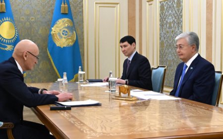 Президент принял председателя фонда «Қазақстан халқына» Болата Жамишева
