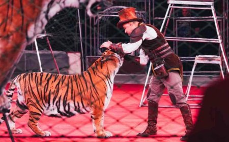 Келер жылдан бастап елімізде жылжымалы цирктер мен зообақтарға тыйым салынады