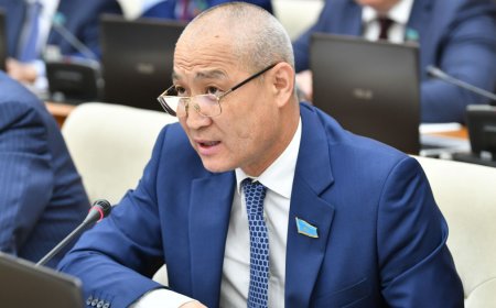 «Тұтас бір континентті «абориген» деп кемсітті»: журналист депутат Жаңбыршинді сынға алды