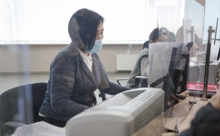Елімізде мемлекеттік қызметтің гибридті моделі енгізіледі