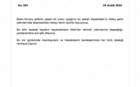 МИД Турции: Мы готовы оказать всяческую поддержку нашим азербайджанским и казахским братьям