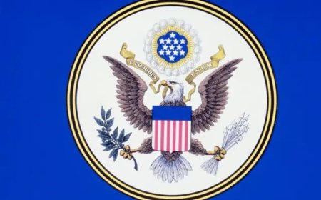 Белоголовый орлан официально признан национальной птицей США