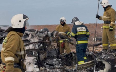 Ұшақ апатын тергеу қай елдің құзыретінде болатыны белгілі болды