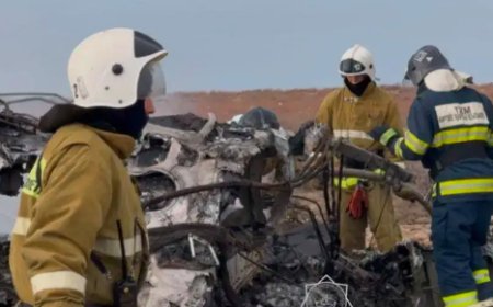 Второй черный ящик нашли на месте крушения самолета близ Актау