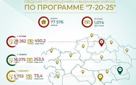 Сколько всего выдано кредитов по программе «7-20-25»?