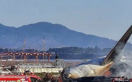 В авиакатастрофе в Южной Корее предположительно погибли 179 человек