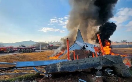 Оңтүстік Кореядағы ұшақ апаты: 179 адам мерт болды