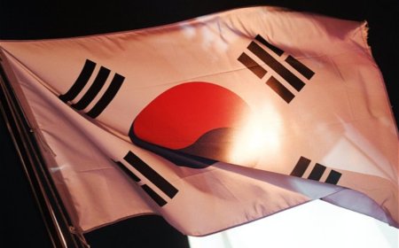 Ұшақ апаты: Оңтүстік Корея халқы  бір апта бойы аза тұтады