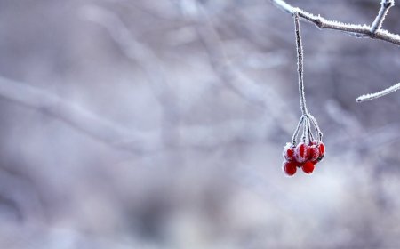 Қаңтарда елімізде ауа-райы қандай болады?