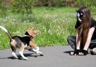 ДУМК вынесло шариатское решение по квадроберам