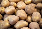Выявлены случаи завышения цен на картофель в Казахстане