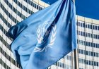 Возникает ощущение безнаказанности виновных в нарушении прав человека в Казахстане – ООН