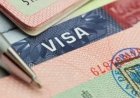 Казахстанскую визу Neo Nomad получил всего один человек