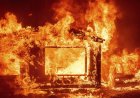 В СКО в пожаре погибли два взрослых и трое детей
