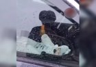 «Менің балам, өзім білемін»: Елорда тұрғыны емізулі сәбиін оталып тұрған көліктің ішінде тастап кеткен (ВИДЕО)