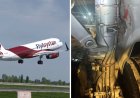 «ДНҚ сараптамасына жіберіледі»: FlyArystan ұшағы құстармен соқтығысқан
