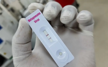 Белгілері коронавирусқа ұқсайды: Қытайда жаңа метапневмовирус тарап, ауруханалар толып кеткен