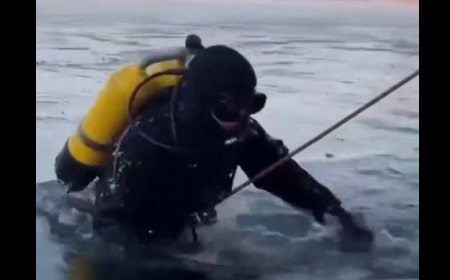 В Семее из Иртыша извлекли затонувший автомобиль, поиски людей продолжаются