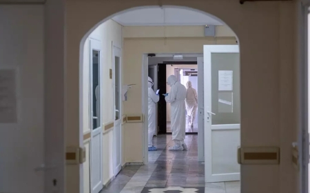 Шырша әрлеймін деп биіктен құлаған семейлік мұғалім ауруханадан шықты: оған өтемақы төлене ме