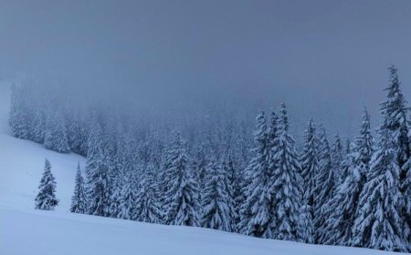 Метель, гололед и туманы ожидаются в четверг в ряде регионов Казахстана