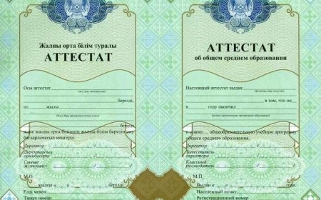 Школьные аттестаты и дипломы колледжей можно оцифровать через eGov