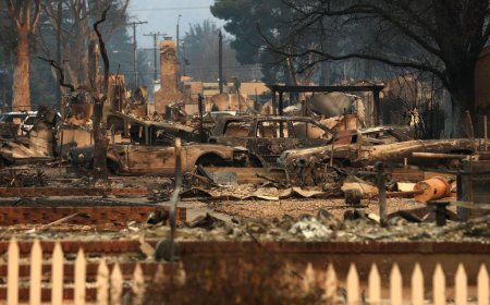 Число погибших в лесных пожарах Калифорнии выросло до 10