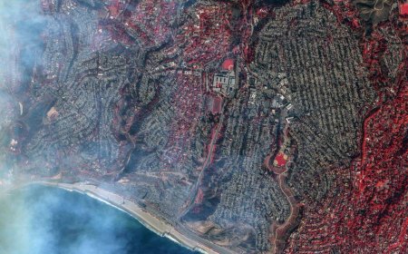 Лесные пожары в Лос-Анджелесе стали самыми разрушительными в истории города