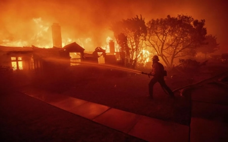 Калифорния орманын өртеді деген күдікті ұсталды