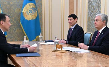 Глава государства принял главу КТЖ Нурлана Сауранбаева