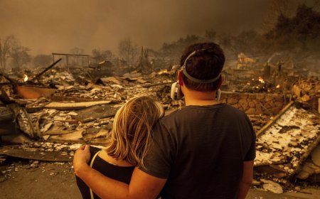 Калифорниядағы орман өртінен қаза тапқандар саны 24-ке жетті