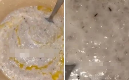 Ақтөбе облысындағы балабақшада ботқадан құрт шықты