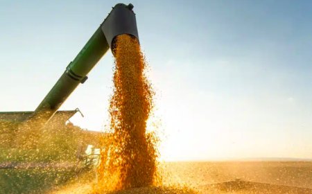 Казахстан экспортировал более 8 млн тонн зерна