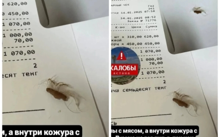 «Мысық па, тышқан ба?»: Астанада тұрғын әкімдік асханасынан алған ет қосылған құймақтан түгі бар тері шыққанына шағымданды