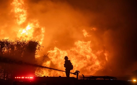 Лесные пожары в Лос-Анджелесе: число погибших возросло до 25