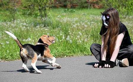 ДУМК вынесло шариатское решение по квадроберам