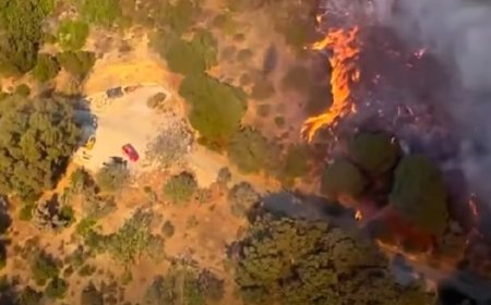 В Лос-Анджелесе сохраняется угроза лесных пожаров