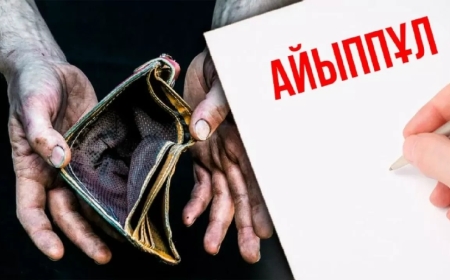 Тарихи рекорд: елімізде айыппұл мөлшері 300 млрд теңгеден асты