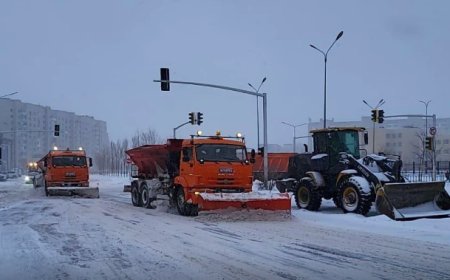 За день из Астаны вывезли около 55 тысяч кубометров снега