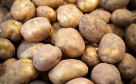 Выявлены случаи завышения цен на картофель в Казахстане