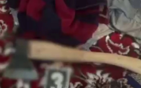 Ішімдікке тойып алған ұлы зағип анасын балталап тастады