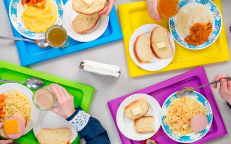 Ученики частных школ начальных классов получат бесплатное питание