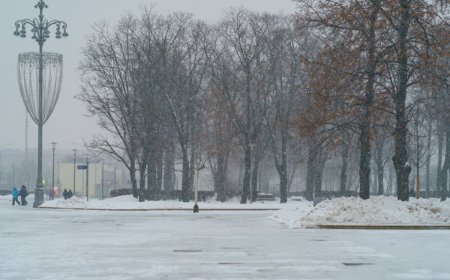 Петропавлдағы саябақтан 31 жастағы тұрғынның мәйіті табылды