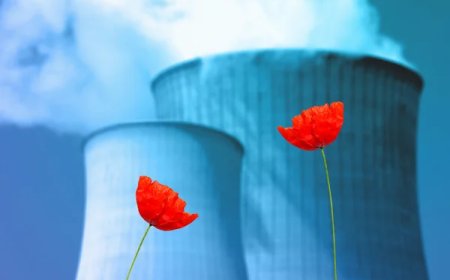 В Казахстане определили место для строительства первой АЭС