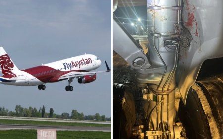 «ДНҚ сараптамасына жіберіледі»: FlyArystan ұшағы құстармен соқтығысқан
