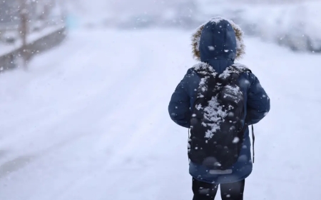 «Ақпан айында 7 күн демалады»: оқу-ағарту министрлігі қосымша каникул барын еске салды